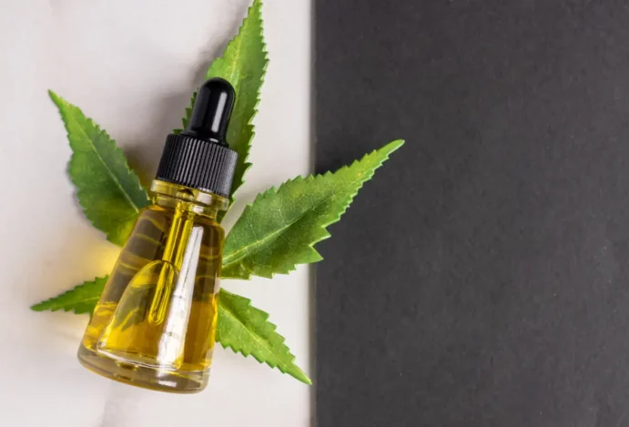Anvisa proíbe venda de cannabis da Forest Medical