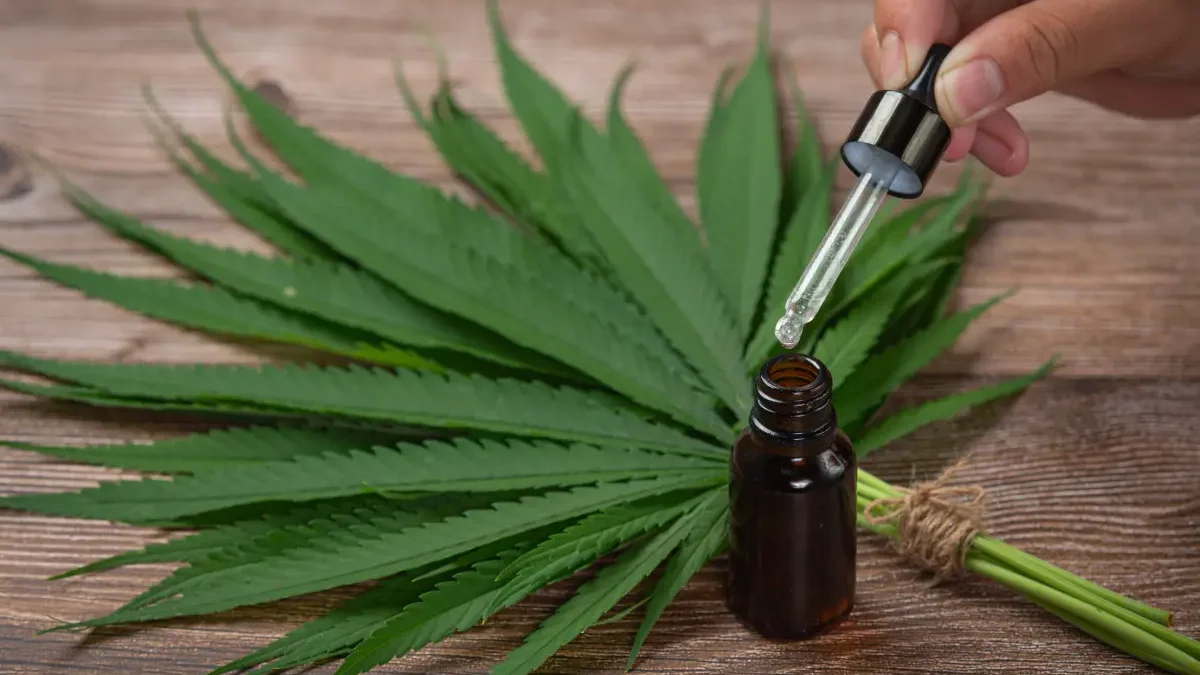 Mercado de cannabis medicinal amplia adesão de pacientes