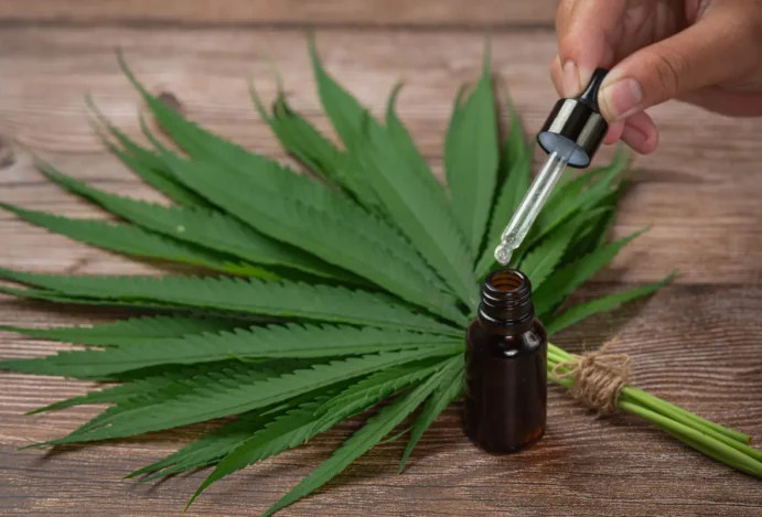 Mercado de cannabis medicinal amplia adesão de pacientes