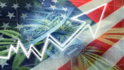 trump apoia mercado de cannabis