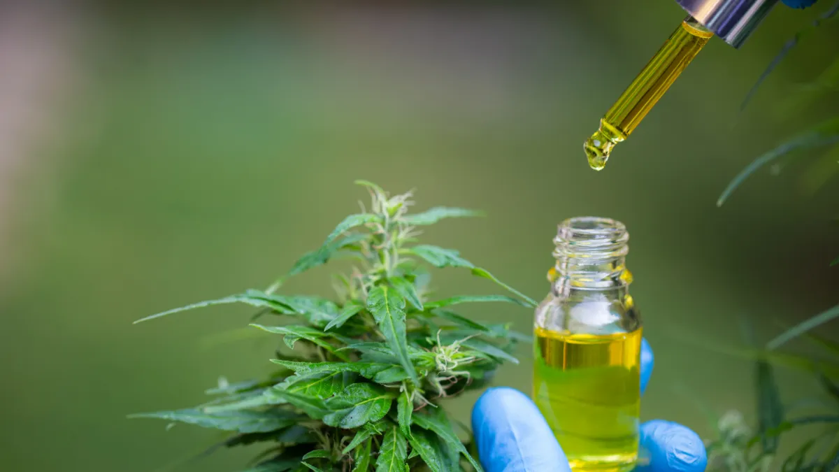 novos produtos medicinais a base de cannabis na anvisa