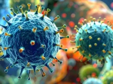 Ver mais: virus nipah medicamentos china