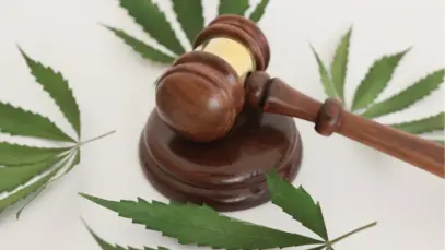 STJ valida marco regulatório da cannabis medicinal