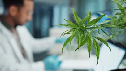 Goiânia ganha 1º Centro Municipal de Cannabis Medicinal do país