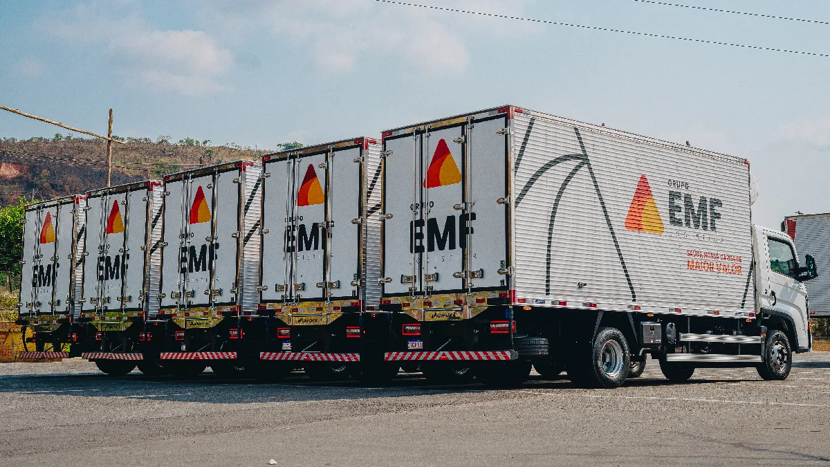emf-interna