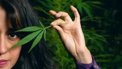 Mulheres formam mais da metade dos pacientes de cannabis