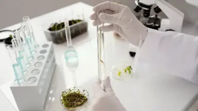 Projeto qualifica terapias com cannabis medicinal