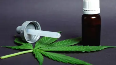Cannabis medicinal ganha status de categoria estratégica