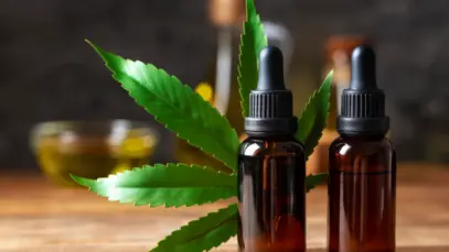 Pesquisa com foco em cannabis medicinal foi lançada na última quinta-feira, dia 11, durante seminário