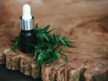 Ver mais: PBCANN 2026 reúne prescritores, farmacêuticos e especialistas em João Pessoa