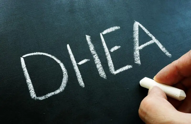 DHEA